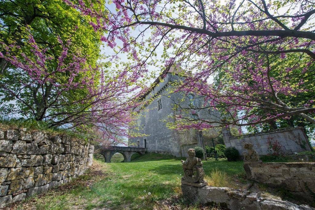 Chateau De Goudourville Villa Esterno foto
