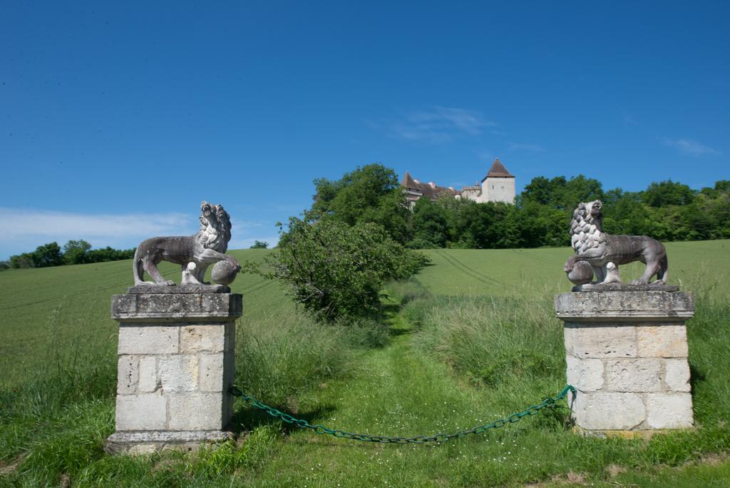 Chateau De Goudourville Villa Esterno foto